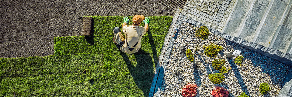 Aménagement paysager